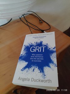 Grit cover